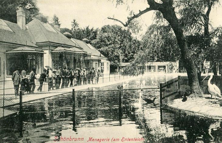Wien / Vídeň - Schönbrunn (Rakousko)