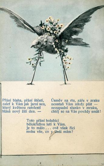 Přání - Ptáček