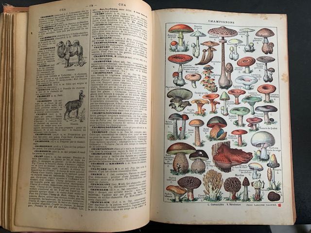 Nouveau Petit Larousse Illustre