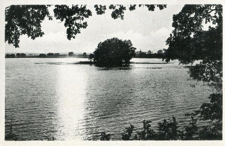 Třeboň (Jindřichův Hradec)