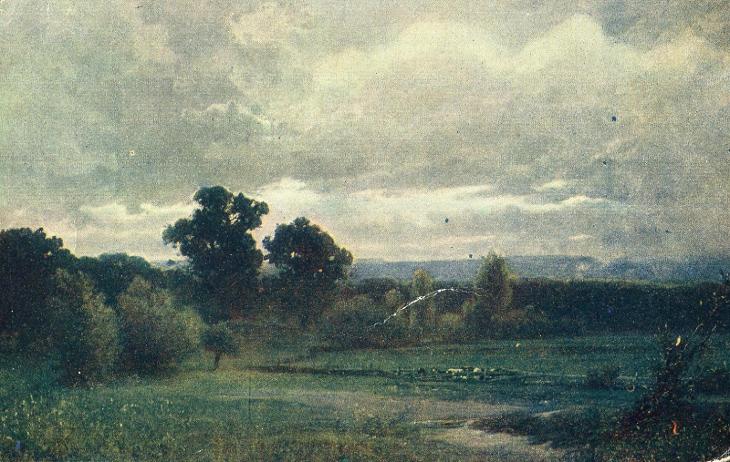 Krajina - louka