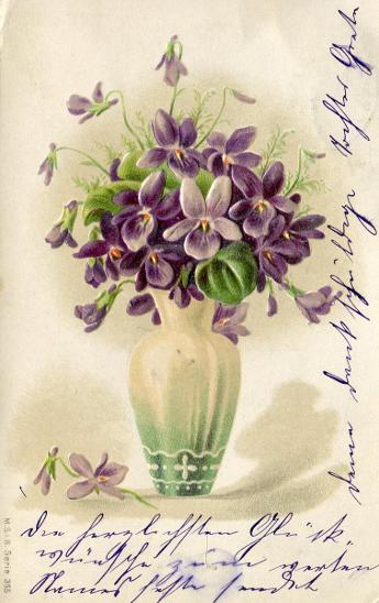 Přání - květina, fialky