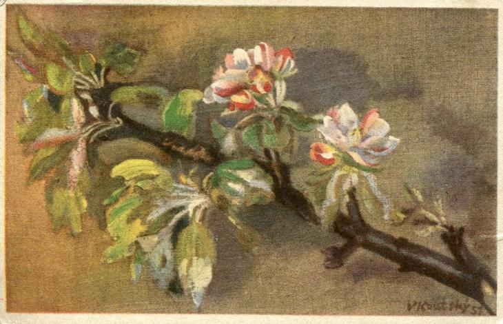 Koutský, V. - Srdečné přání - květ, jabloň