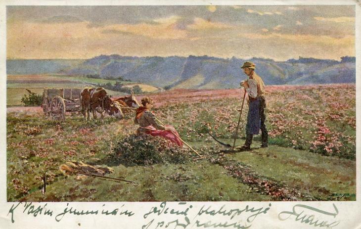 Umělecký - Na poli