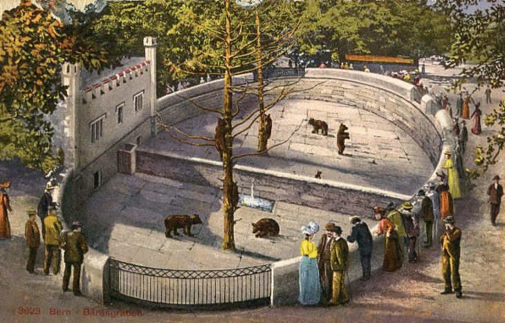 Bern (Švýcarsko) - medvěd