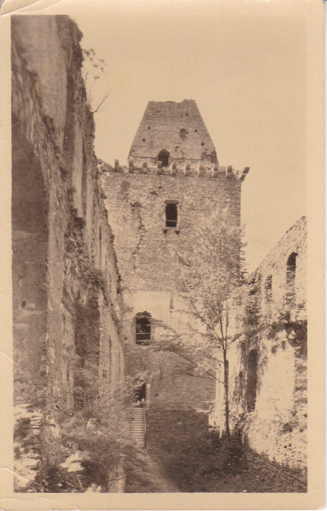 Zřícenina hradu Kašperk (Klatovy)