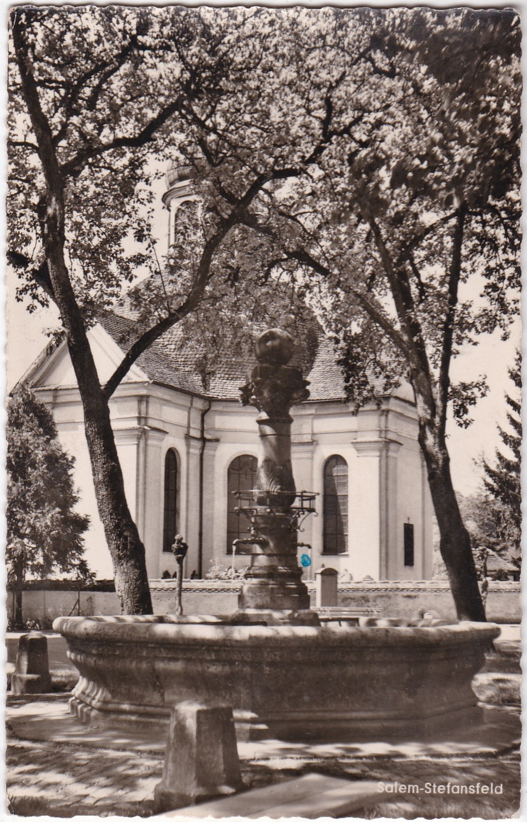 Salem Stefansfeld (Německo)