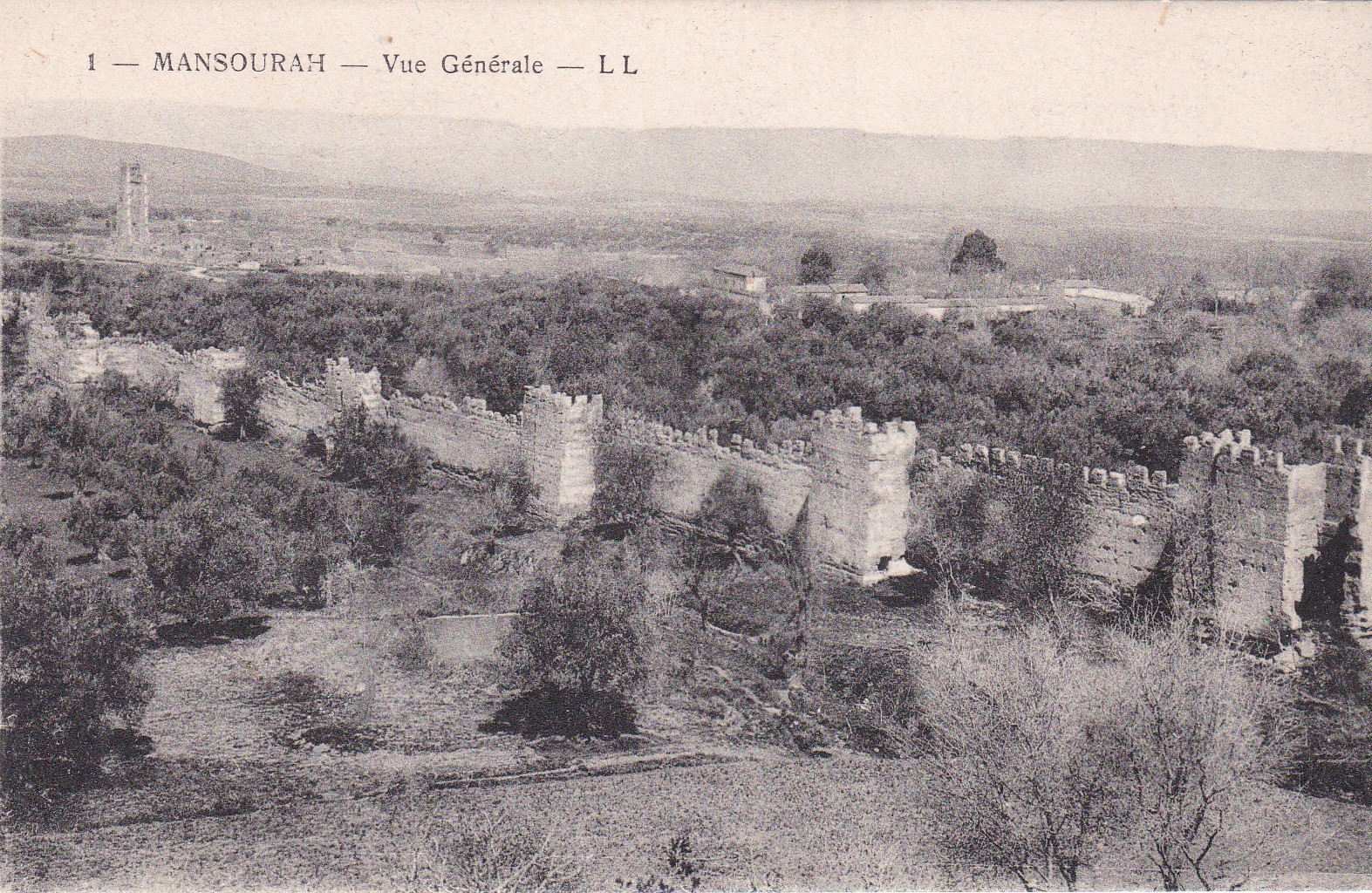 Mansourah (Alžírsko)