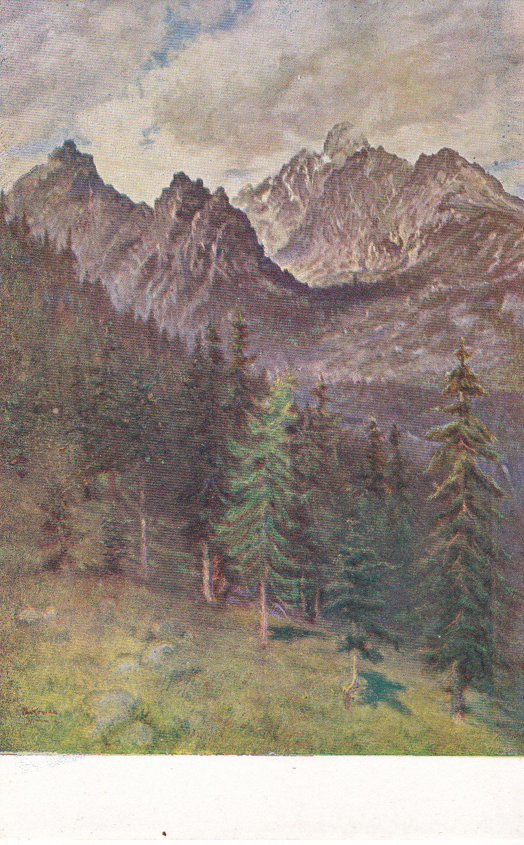 (Les s pohořím na pozadí)