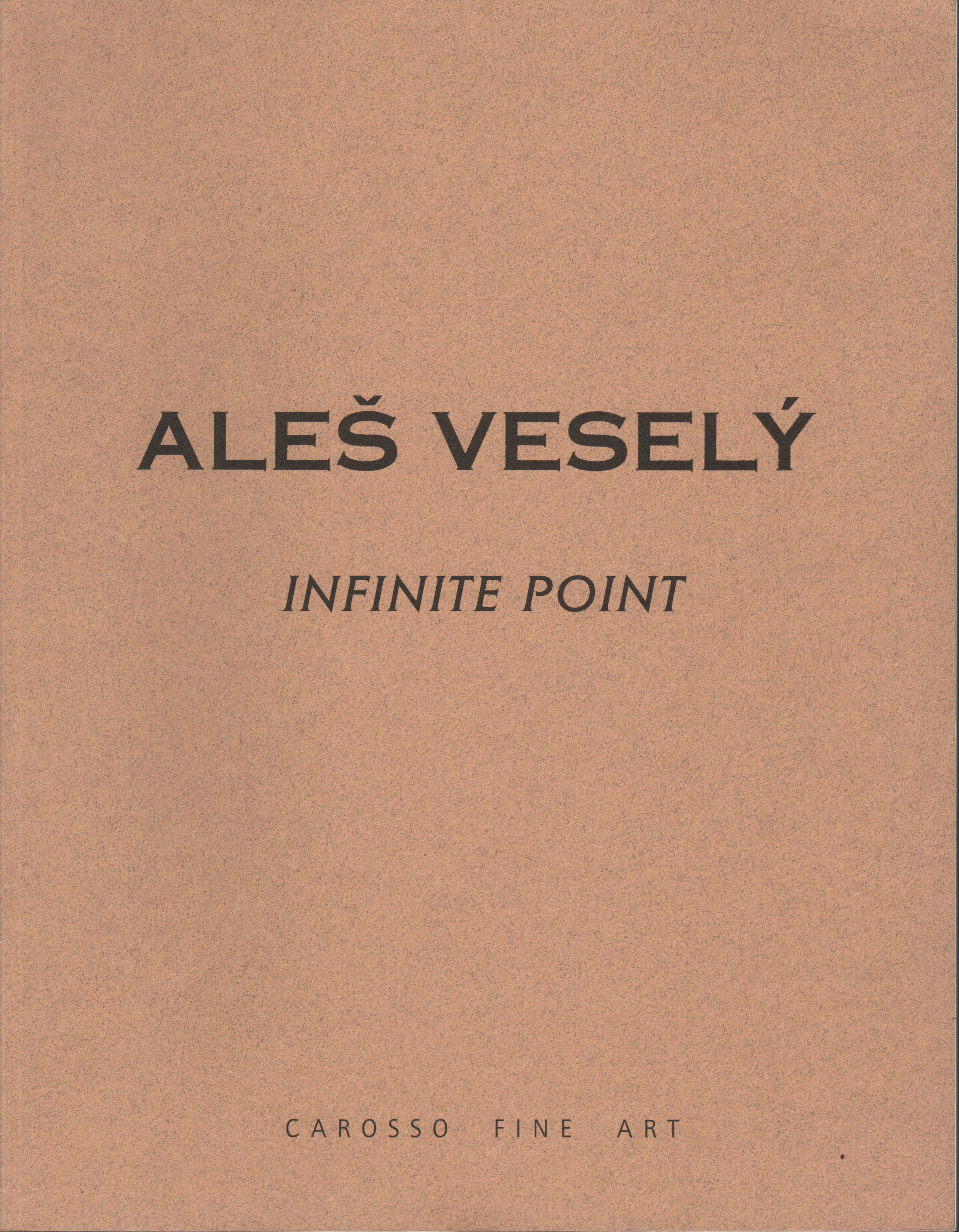 Aleš Veselý: Infinite Point (podpis)