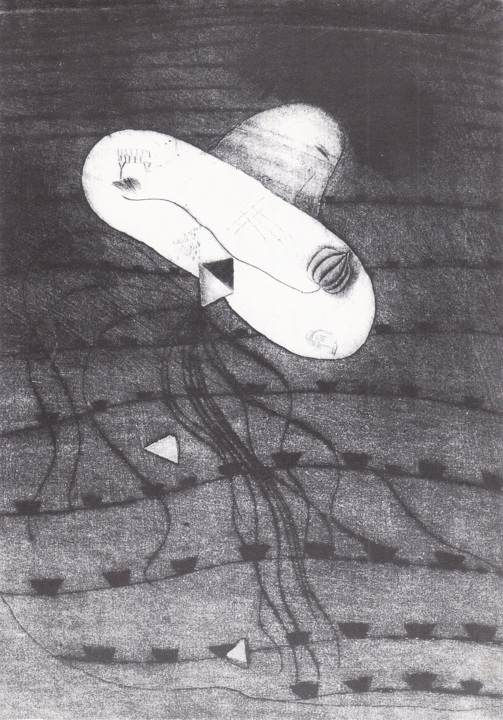 Eva Bednářová: Grafika (podpis)