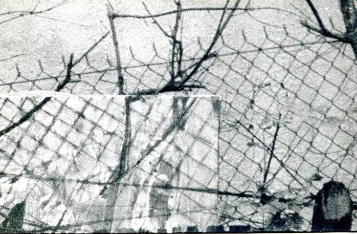 Daniel Fischer (podpis)