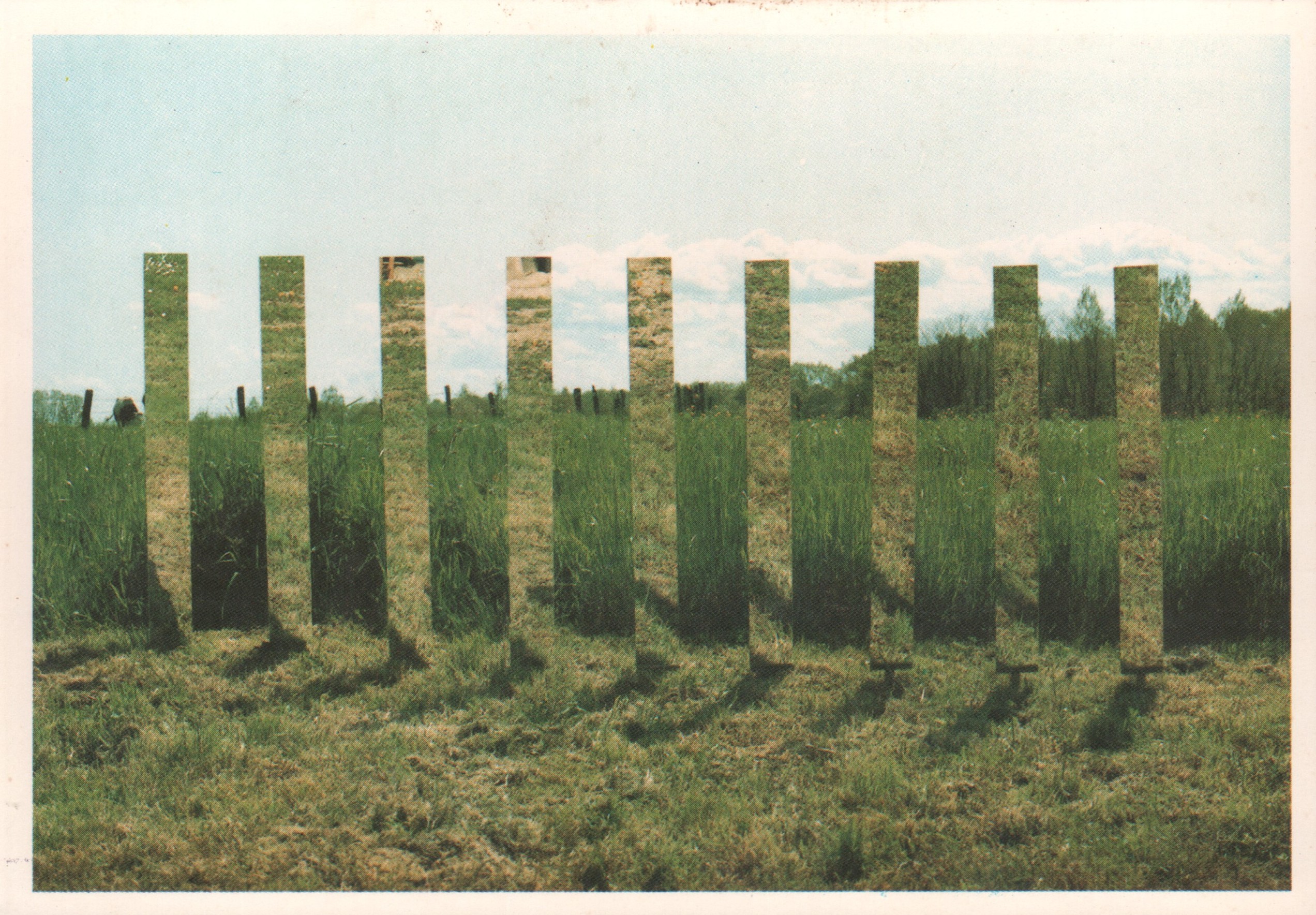 Jiří Matoušek: Chêne Bernard, 1985