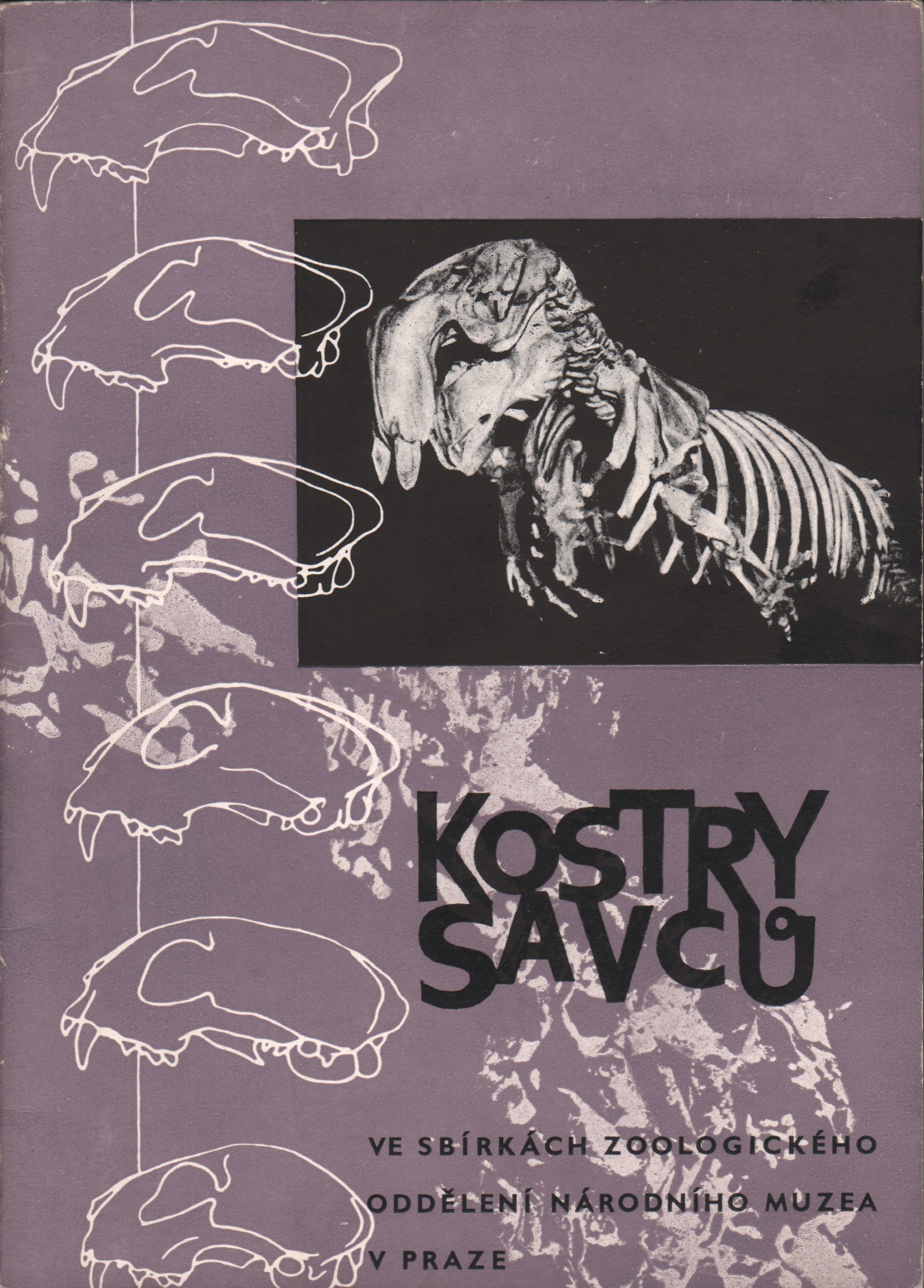 Kostry savců ve sbírkách zoologického oddělení Národního muzea v Praze
