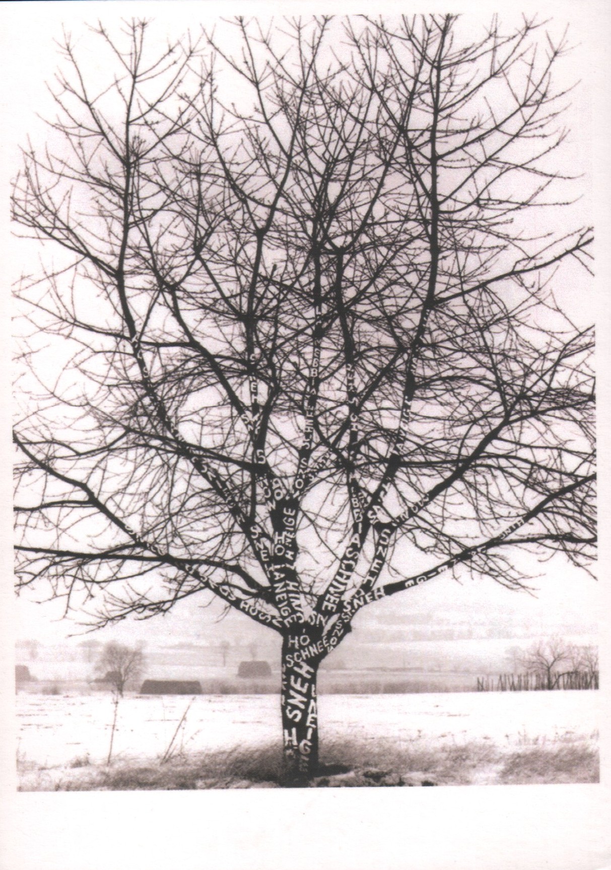 Monogramista T.D.: Sneh na strome, 1970