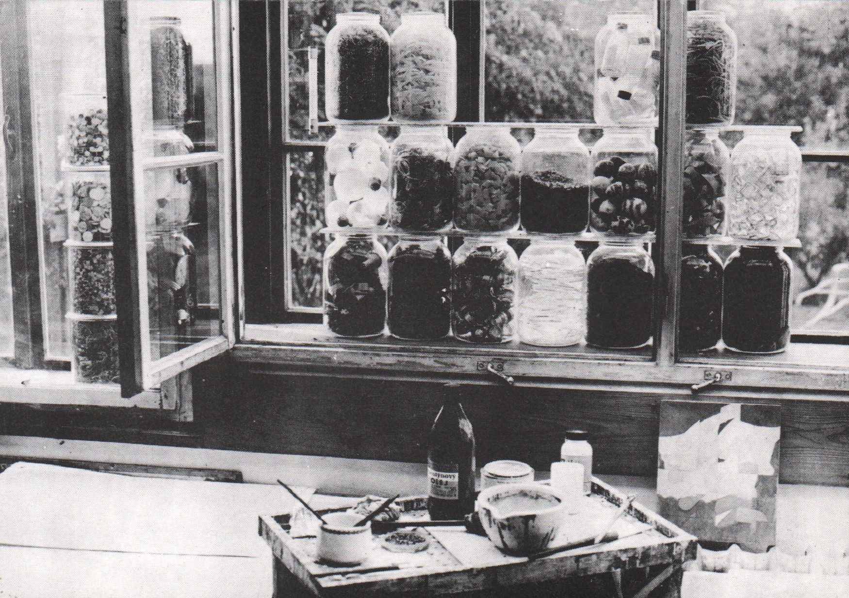 Galerie H - okno ateliéru Z. H., 1988