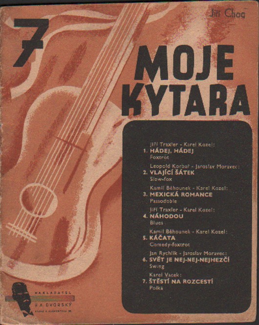 Moje kytara 7