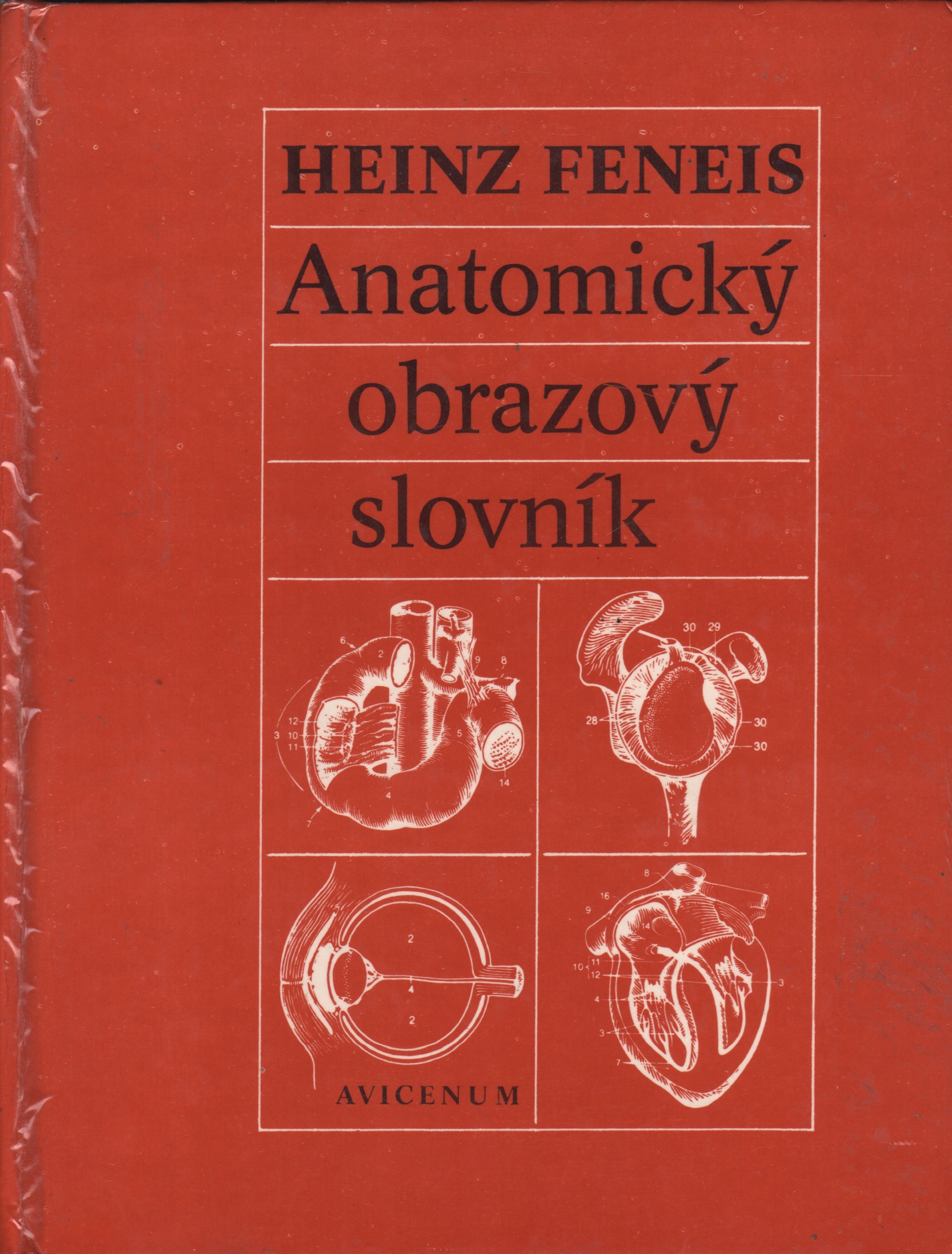 Feneis, Heinz - Anatomický obrazový slovník