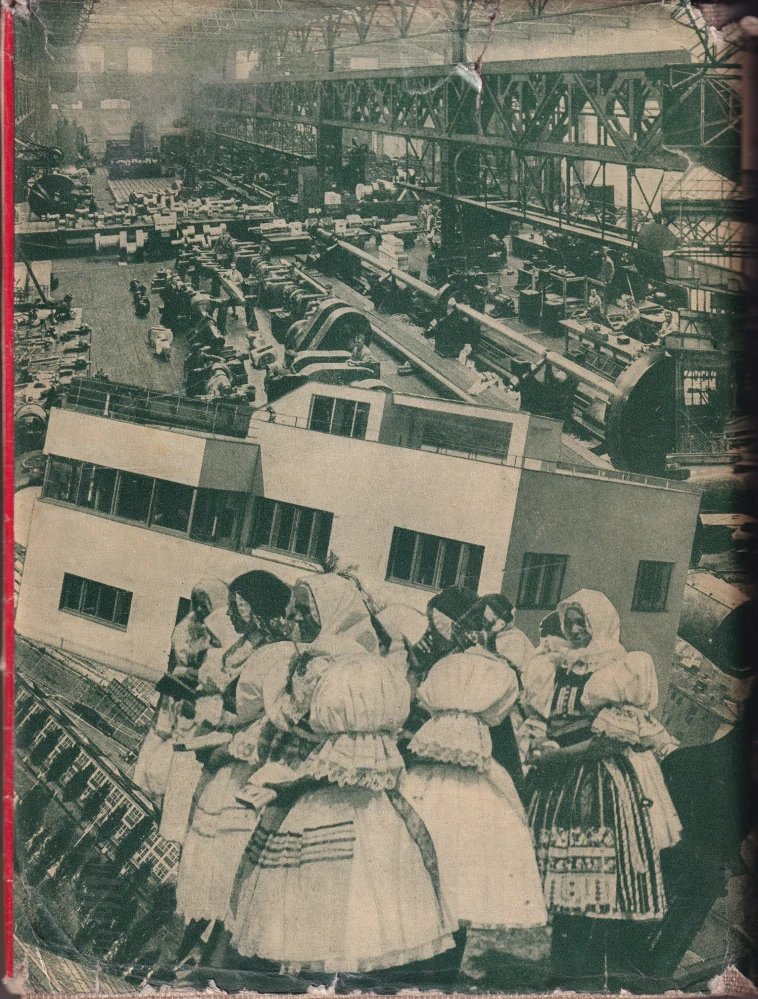 Wachsman, Z. H. - Gute Nachbarschaft