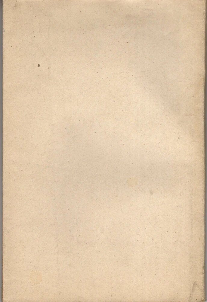 Bauer, Otto - Bolševismus nebo sociální demokracie?