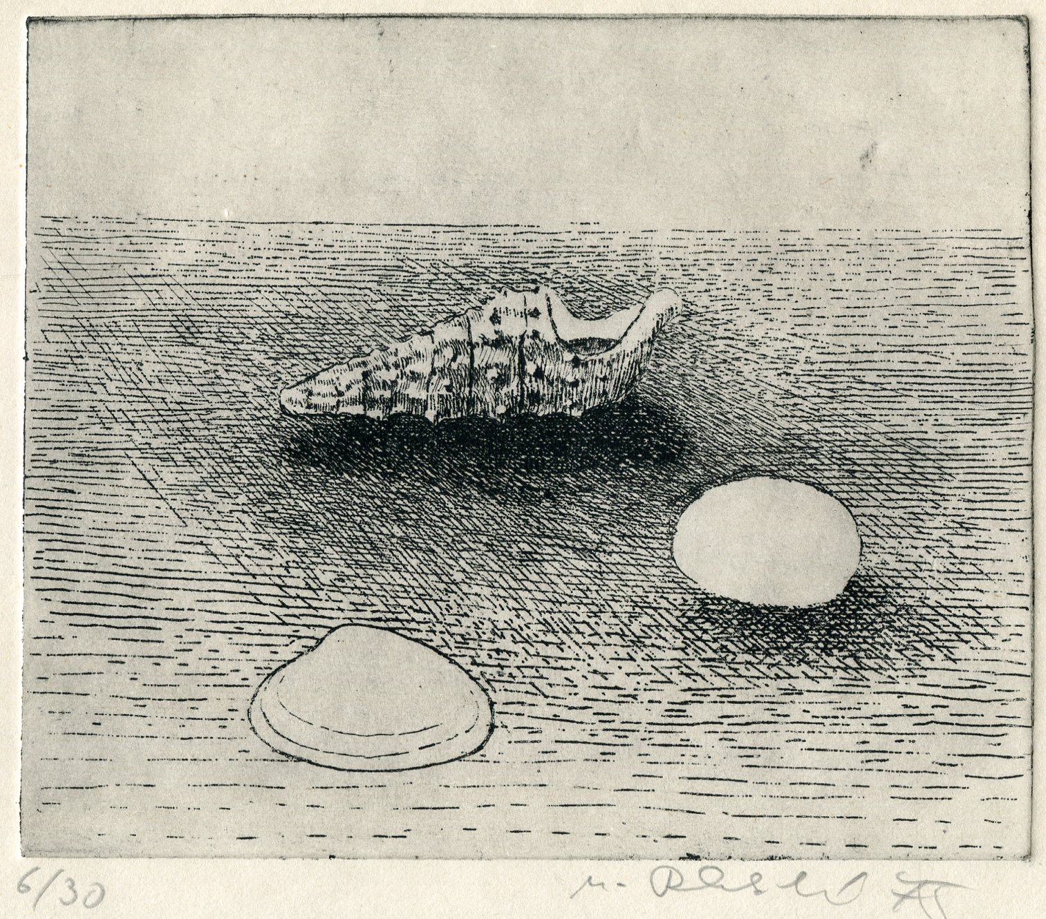 Blabolilová, Marie - Mušle 3