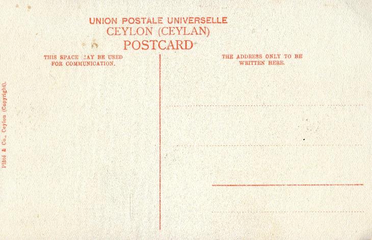 Ceylon / Cejlon (Šrí Lanka) - slon