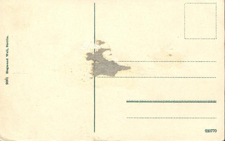 S. S. Odin auf hoher See - loď, parník