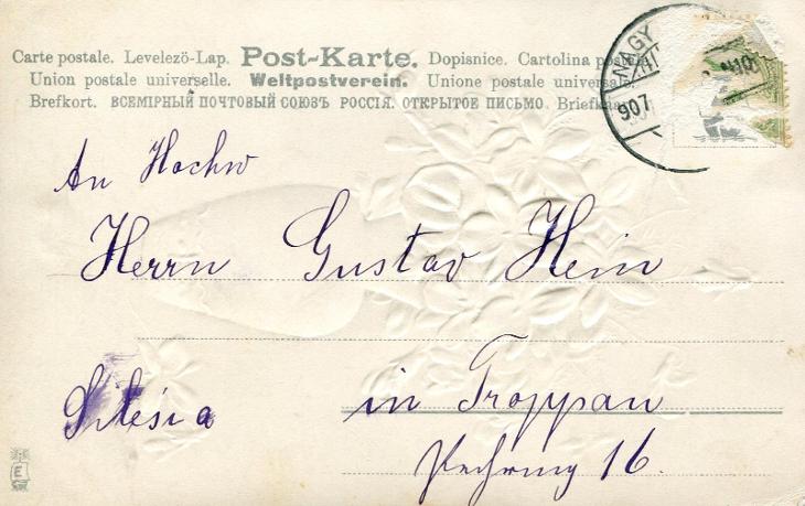 Přání - květina, fialky