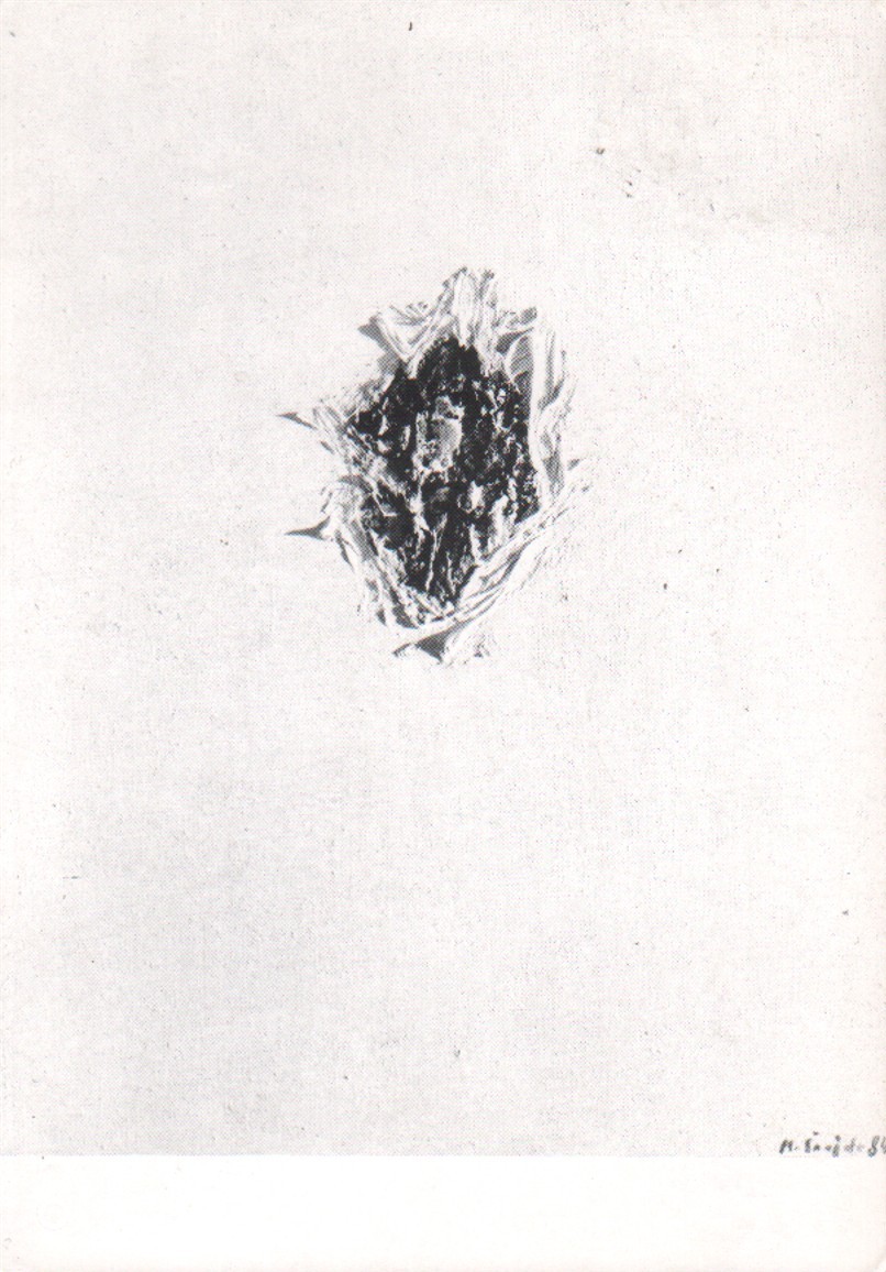 Miroslav Šnajdr: Malířská pasta, PF 1993 (podpis)