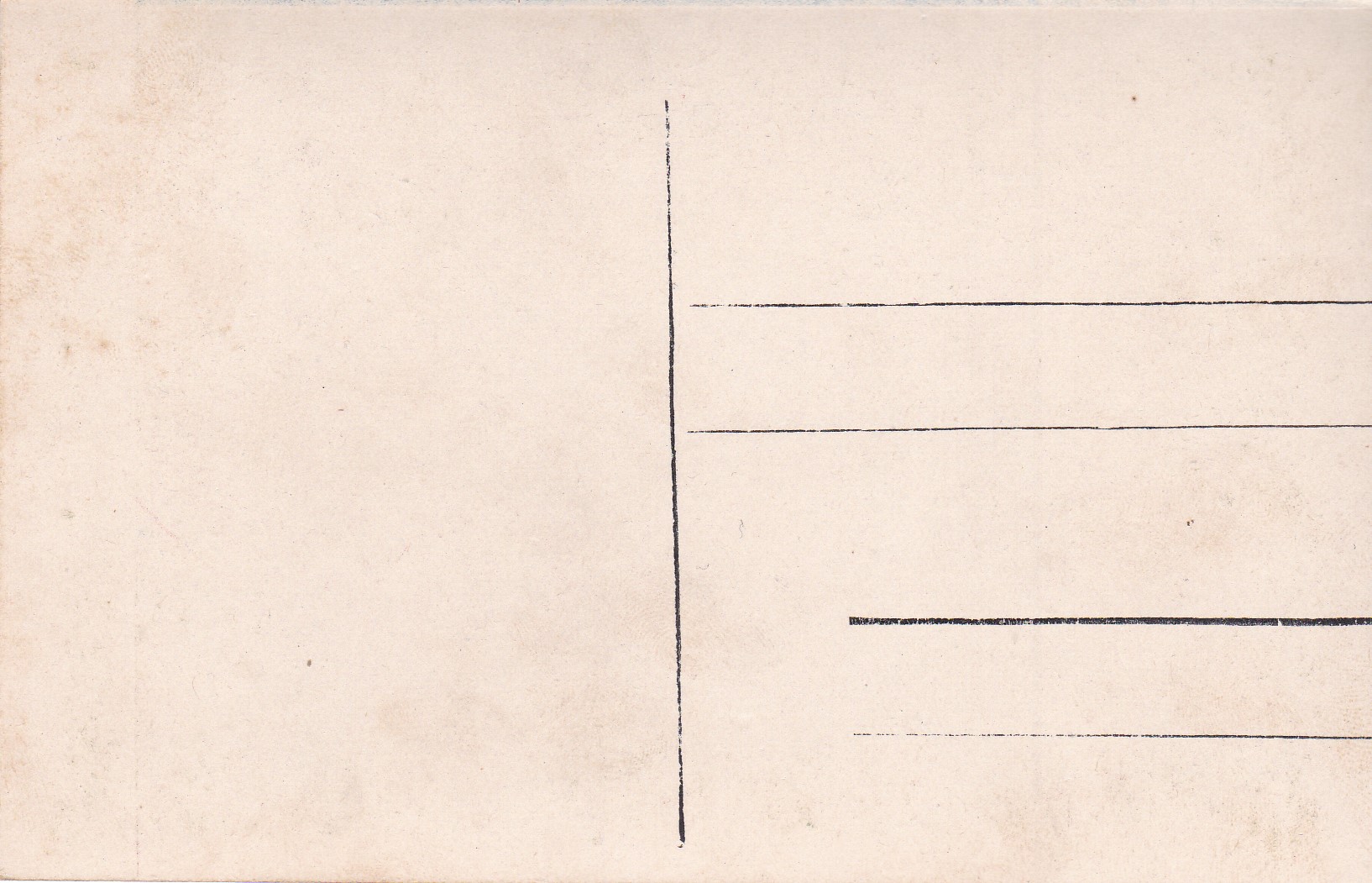 (Les s pohořím na pozadí)