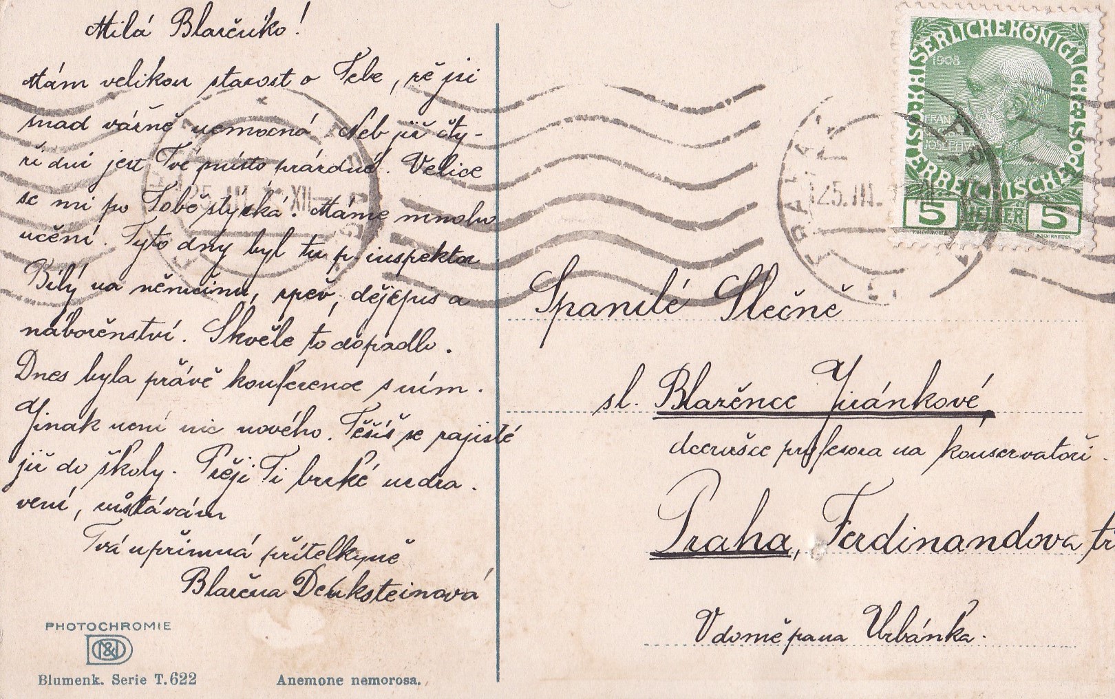 (Sasanky v lesním porostu)