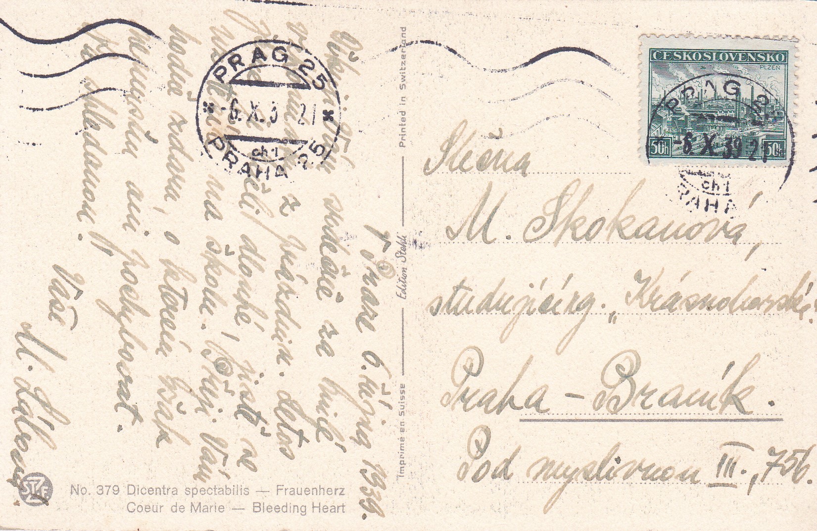 (Srdcovka nádherná)