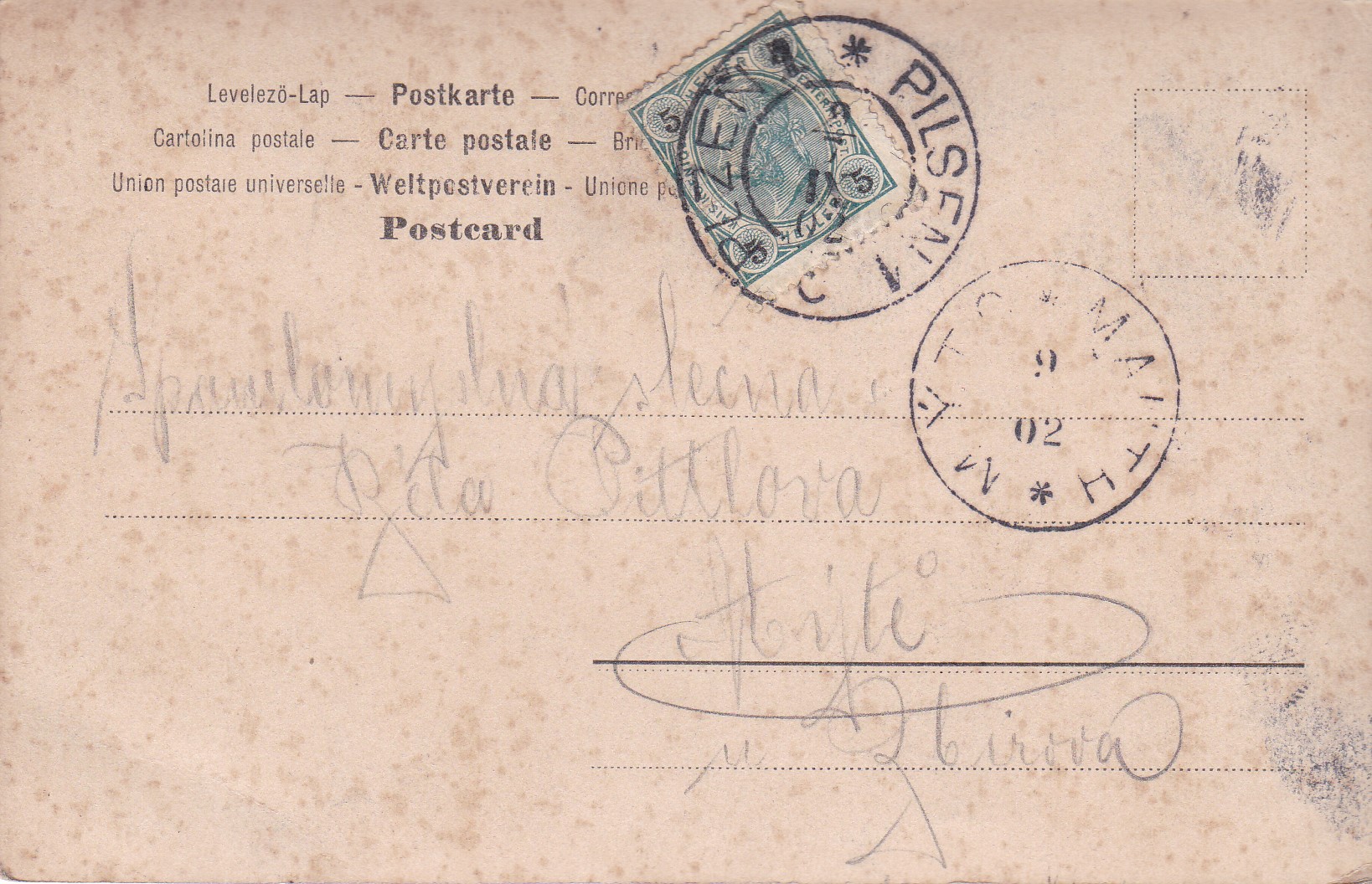 (Fotografie mladé ženy)