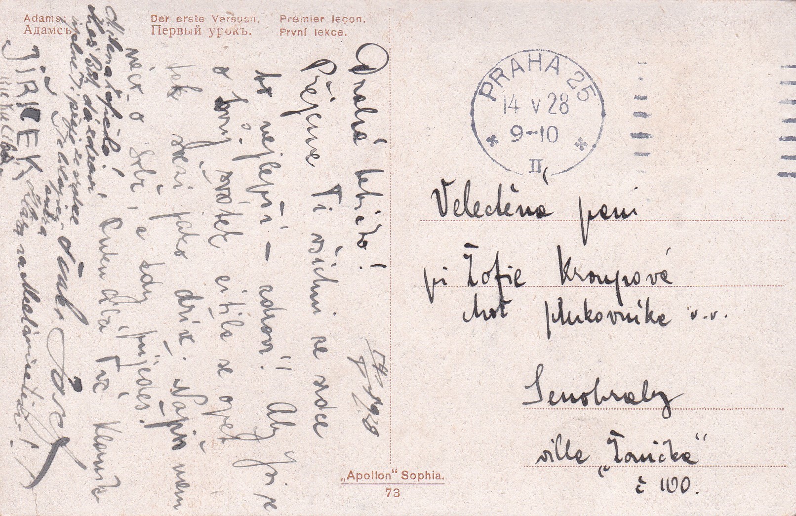 Adams, John Quincy - První lekce