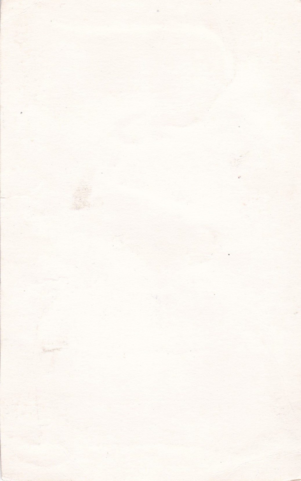 Veselý, Theodor Bohdan - Poslední okamžiky Mistra Jana Husa