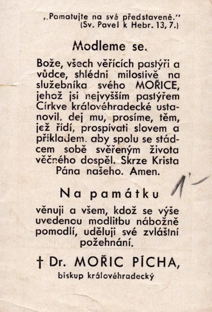 Peníz daně