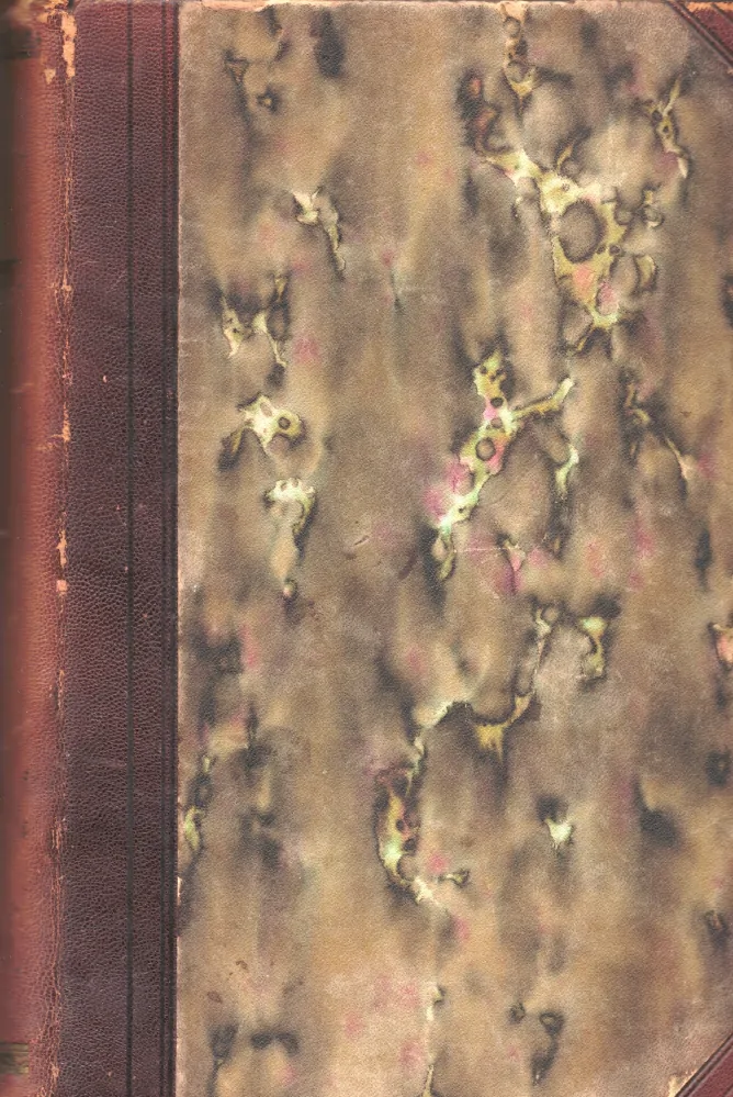 Květy 1904 r. 26 - komplet