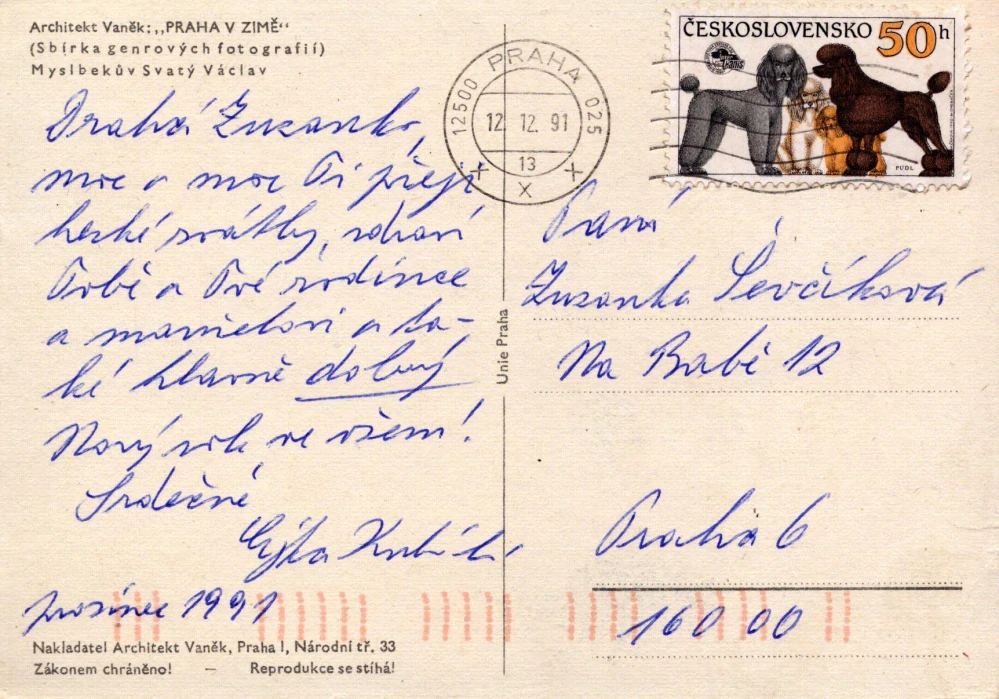 Architekt Vaněk: Praha v Zimě (Praha)