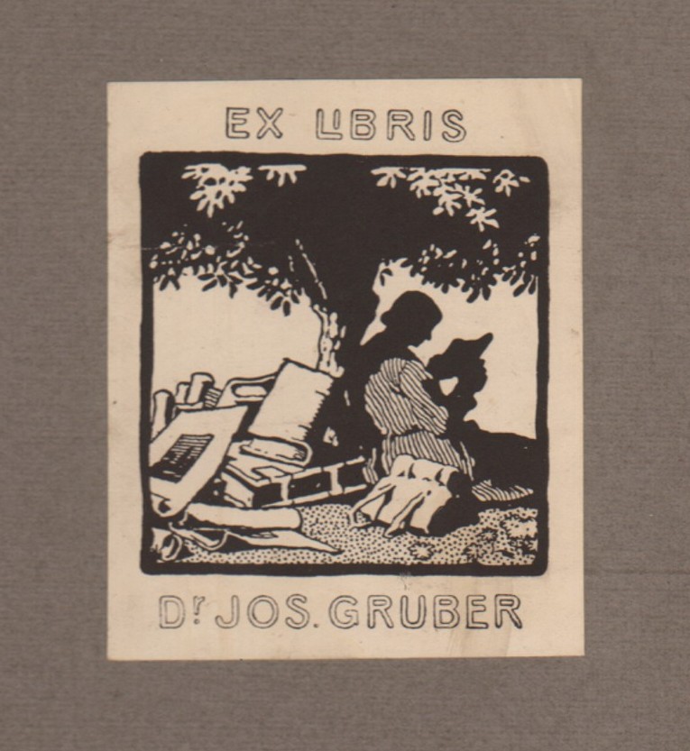 Přehled, Týdenník věnovaný veřejným otázkám 1909-1910 (komplet)