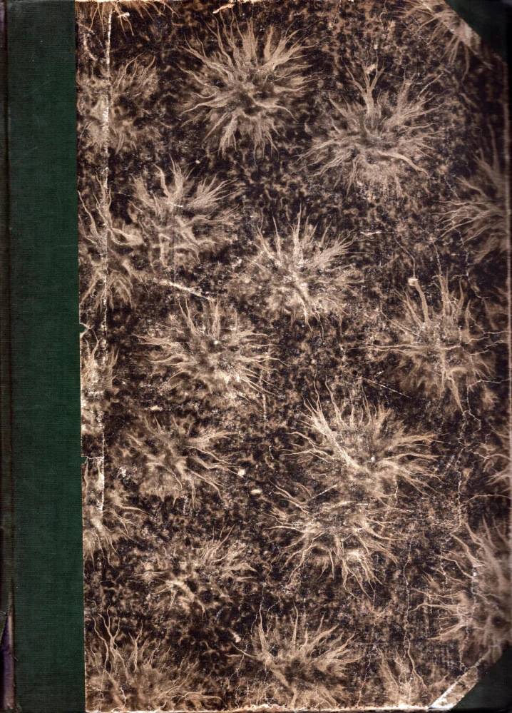 Šlehy + Stráž svobody 1919