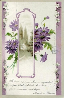 Přání - fialové květy