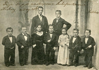 Liliputáni, Liliputi