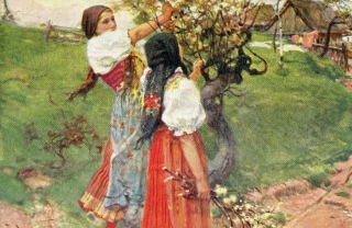 Douba, Josef - Obrazy z Chodska - kroj