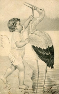 Přání - dítě s čápem