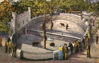 Bern (Švýcarsko) - medvěd