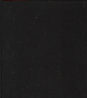 Šimon Brejcha: Sběrač a drtič / Collector and Crusher (bez přebalu)