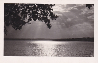 Třeboň (Jindřichův Hradec)