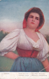 Ženíšek, Josef - První mrzutost