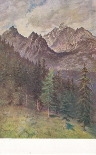 (Les s pohořím na pozadí)