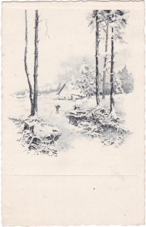 (Zasněžená krajina)